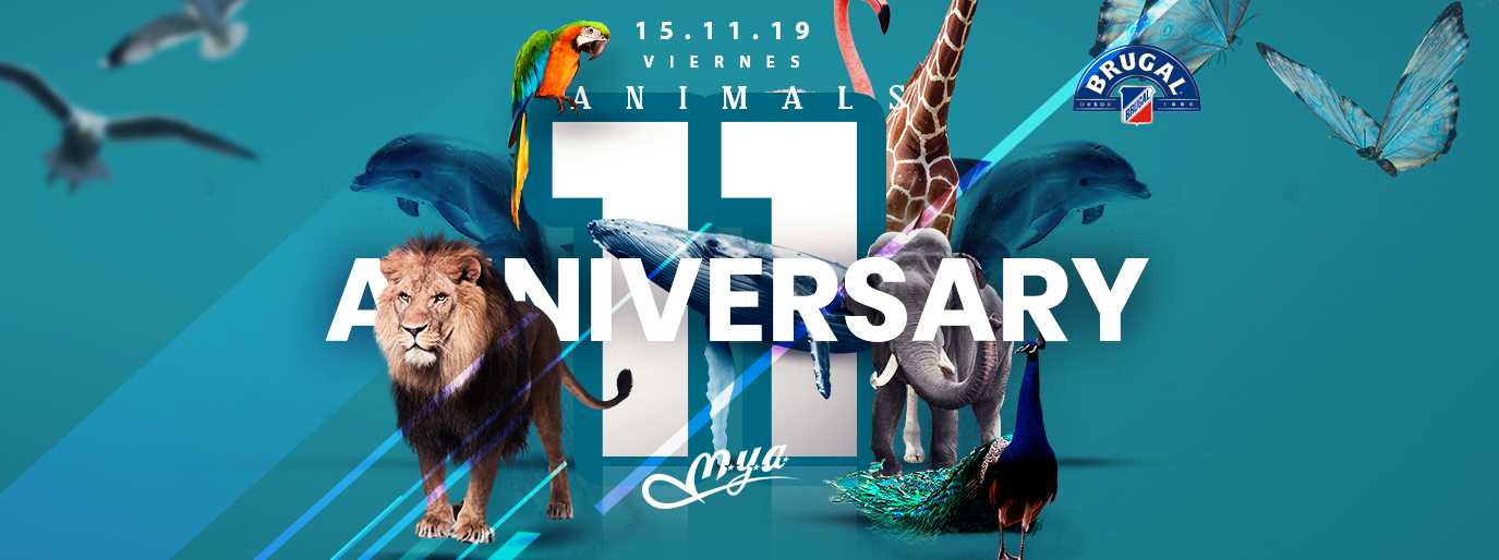 MYA traerá a conocidos  DJ HOLANDESES para celebrar este fin de semana su 11º Aniversario