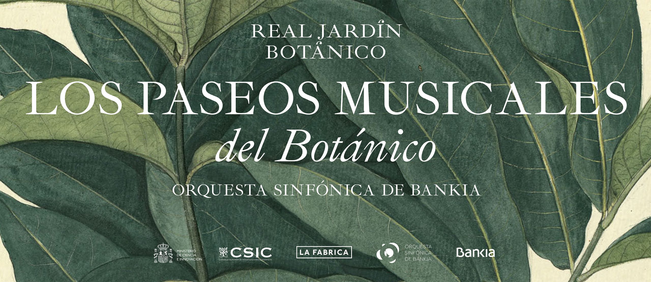 Paseos musicales a la luz de la luna por el Jardín Botánico este verano