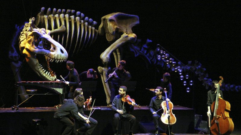 SOÑANDO EL CARNAVAL DE LOS ANIMALES – Nadal a l’Escalante