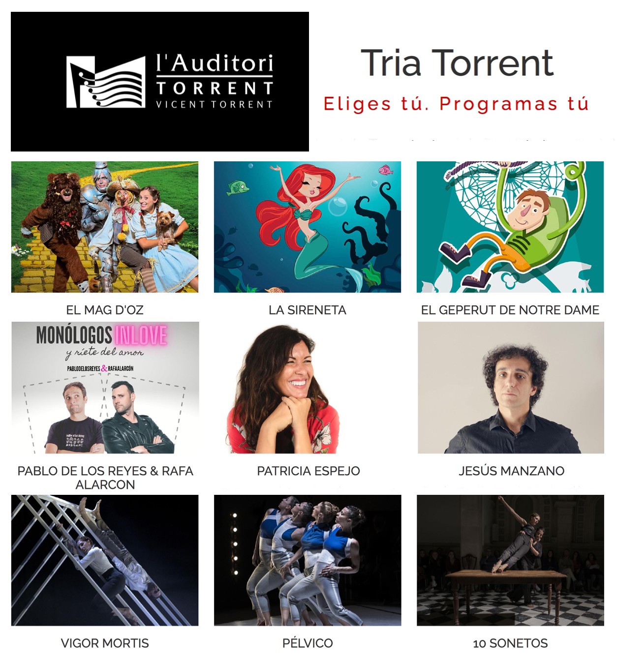 TRIA TORRENT: LA PROGRAMACIÓN DE L’AUDITORI VICENT TORRENT SE ABRE A LA PARTICIPACIÓN CIUDADANA