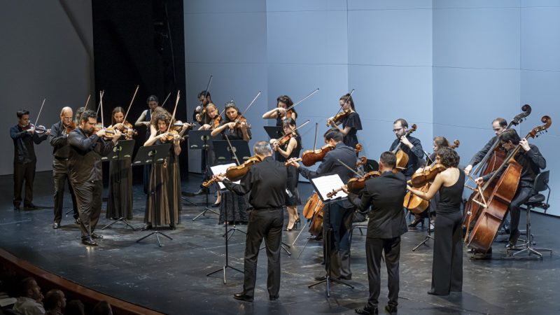 Los profesores de la OCV protagonizan el inicio del ciclo ‘Matins a les Arts’