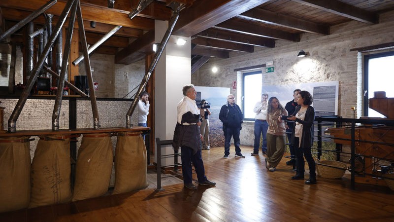 EL MUSEO DEL ARROZ INAUGURA SU EXPOSICIÓN SOBRE LA VEGETACIÓN DE LA ALBUFERA CON UN RECORRIDO DIDÁCTICO POR EL PARQUE NATURAL