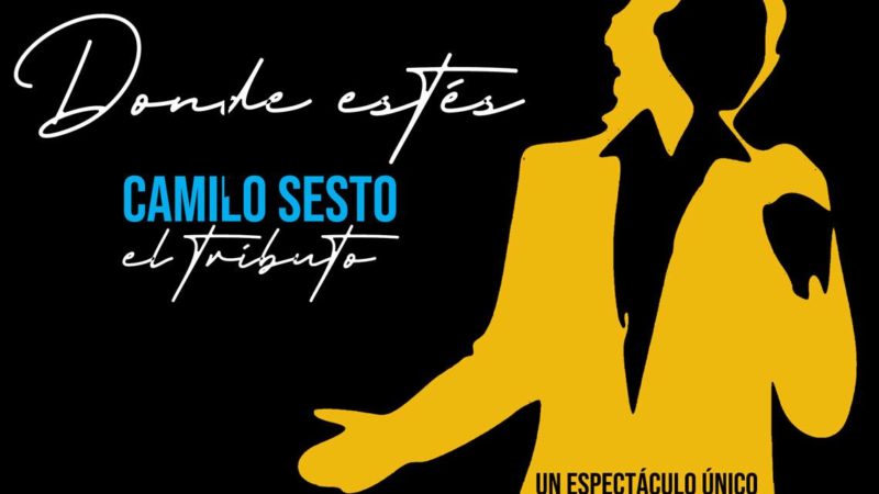 Tributo a Camilo Sesto – Auditori Leopoldo Peñarroja