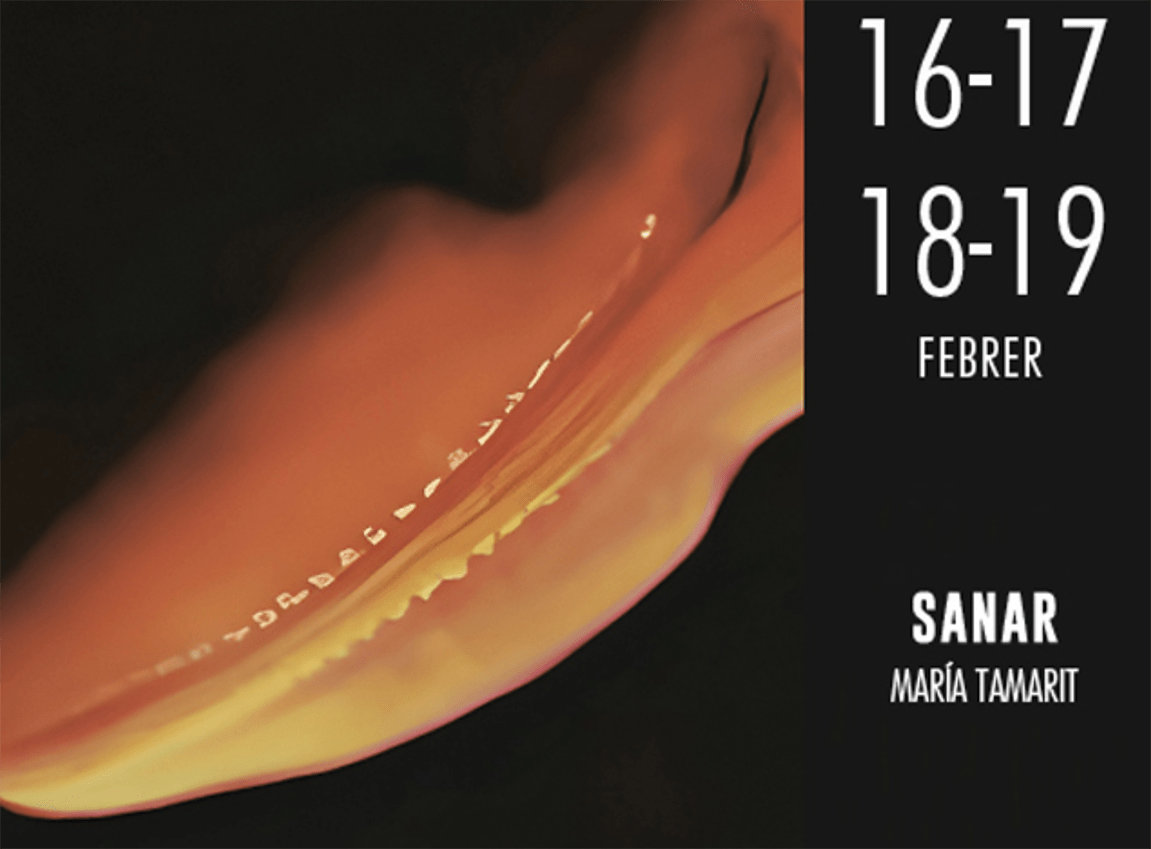 “SANAR” – Carme Teatre