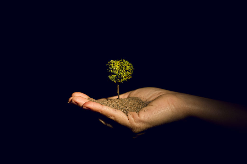 El Escalante propone artes escénicas en el Teatre Principal, Ribes y La Beneficència en febrero