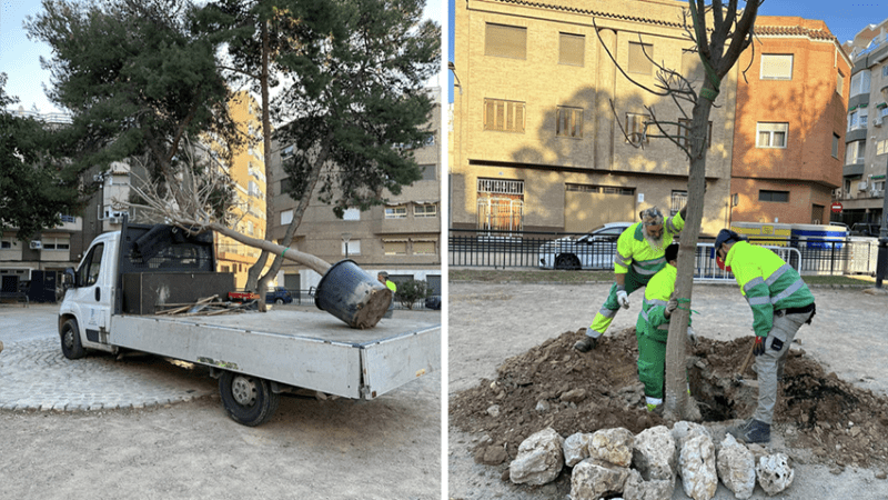 La cineasta Valenciana Mar Navarro Herráiz junto al Ajuntament de Silla, su ciudad, llevará a cabo una acción pionera en el audiovisual: “Plantarán un árbol por cada rodaje que dirija”