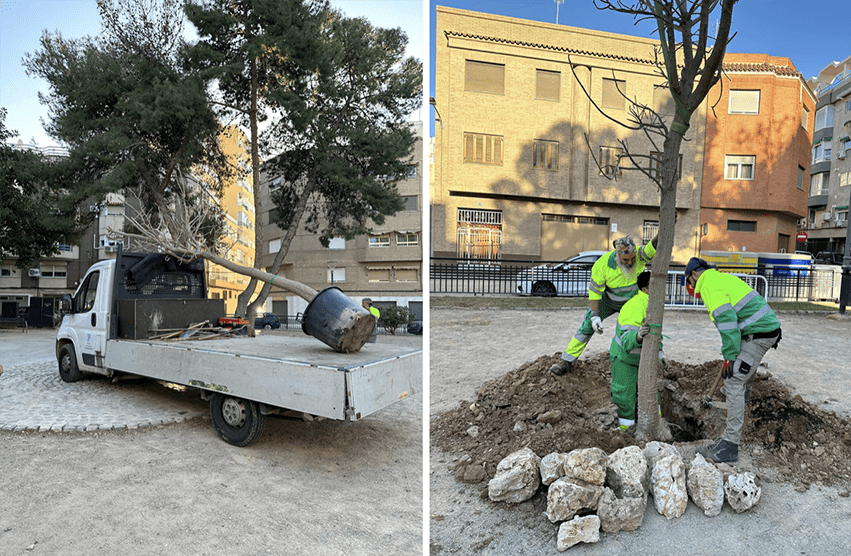 La cineasta Valenciana Mar Navarro Herráiz junto al Ajuntament de Silla, su ciudad, llevará a cabo una acción pionera en el audiovisual: “Plantarán un árbol por cada rodaje que dirija”