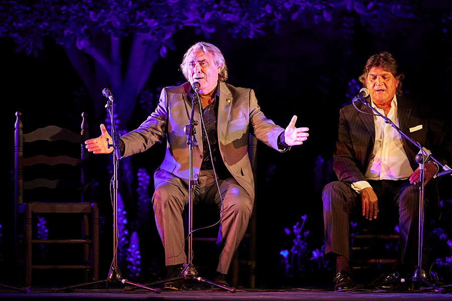 Les Arts clausura su ciclo flamenco con el cante puro de José de la Tomasa