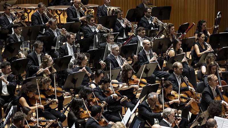La Orquestra de la Comunitat Valenciana enseña a los más jóvenes cómo funciona una agrupación sinfónica
