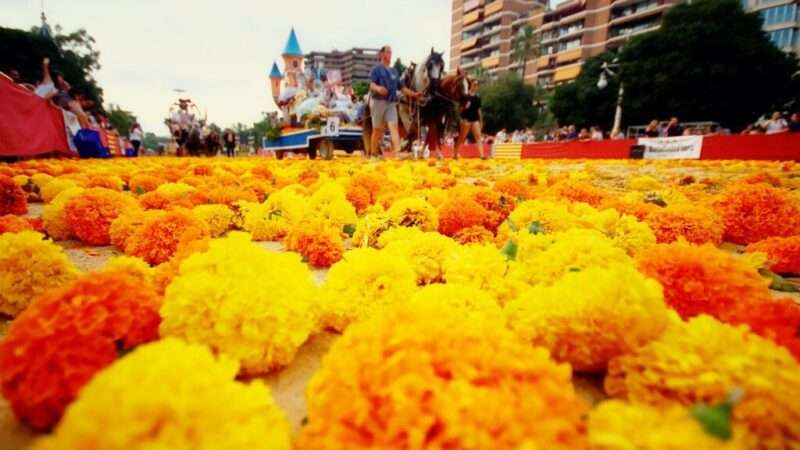 La Batalla de Flores y el castillo de fuegos artificiales Mar d’Estiu pondrán fin este domingo a la Gran Feria de València 2025