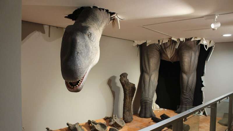 El Paleontològic recibe ya a sus primeros visitantes con tecnología, audiovisuales, aplicaciones móviles y realidad aumentada