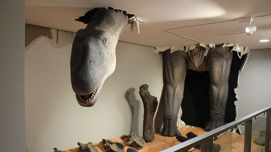 El Paleontològic recibe ya a sus primeros visitantes con tecnología, audiovisuales, aplicaciones móviles y realidad aumentada