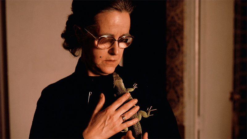 Almodóvar con folclore balcánico, bolero, swing y jazz para abrirla nueva sección Visuals de Mostra de València