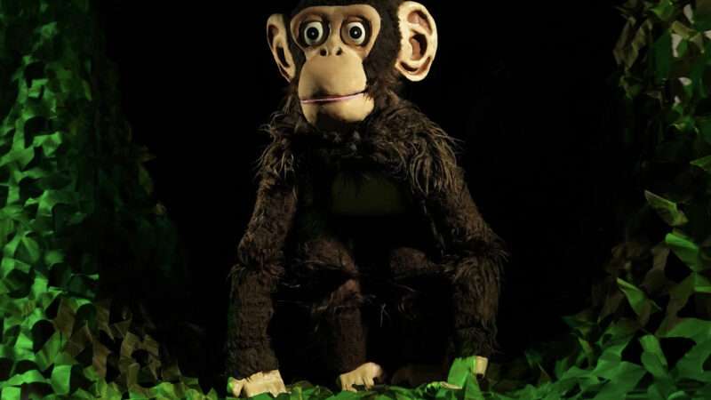 “Lemba aterriza en Sala Off Kids: títeres y aventura para descubrir la realidad de los chimpancés”