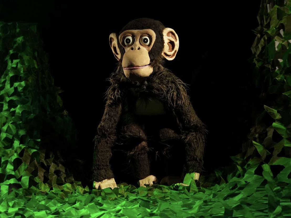 “Lemba aterriza en Sala Off Kids: títeres y aventura para descubrir la realidad de los chimpancés”