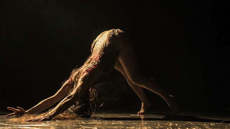 La Siamesa arranca su 20 aniversario con un laboratorio escénico, un libro objeto, una exposición y dos funciones de su última coreografía