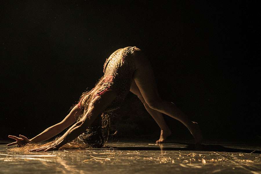 La Siamesa arranca su 20 aniversario con un laboratorio escénico, un libro objeto, una exposición y dos funciones de su última coreografía