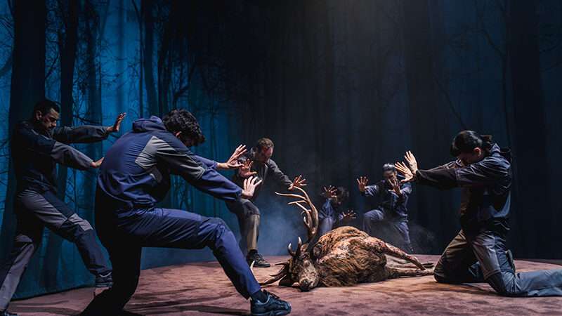 Led Silhouette abre el telón de Dansa València con el estreno de ‘Ultimátum’ en el Teatro Principal