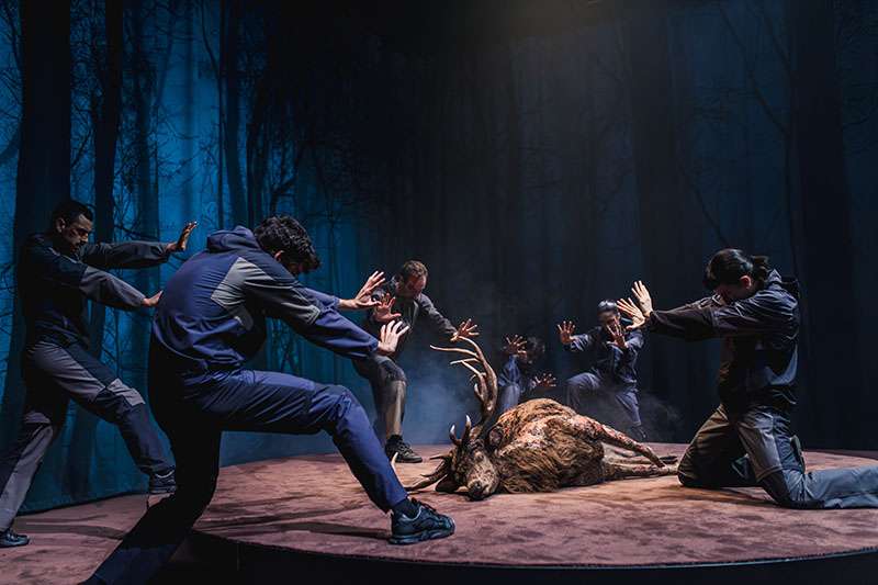 Led Silhouette abre el telón de Dansa València con el estreno de ‘Ultimátum’ en el Teatro Principal