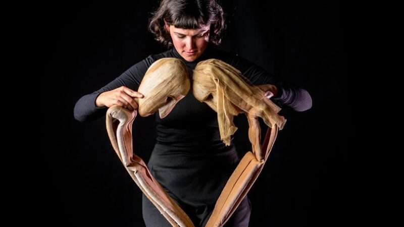 «PASOS LARGOS», de Coriolis, en Espai Inestable