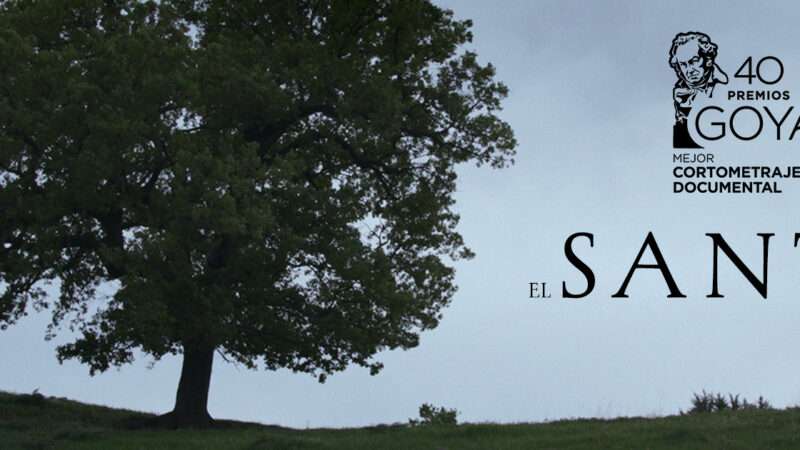 ‘La Pietà’, de Suica Films, inaugura la X edición de DocsValencia que cerrará ‘El Santo’, Premio Goya 2026