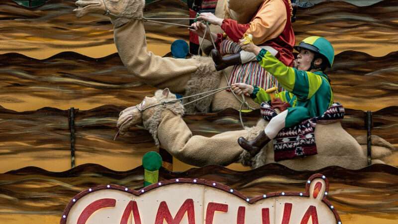 “Camelvá” un espectáculo interactivo para toda la familia en la Plaza del Teatro Chapí