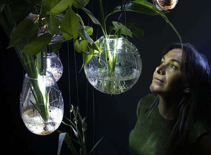 El IVAM presenta una acción sonora en torno a la instalación inmersiva ‘Radix’, dirigida por la artista Tania Candiani