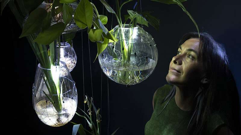 El IVAM presenta una acción sonora en torno a la instalación inmersiva ‘Radix’, dirigida por la artista Tania Candiani