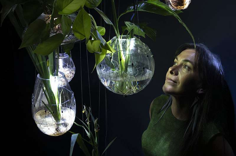 El IVAM presenta una acción sonora en torno a la instalación inmersiva ‘Radix’, dirigida por la artista Tania Candiani