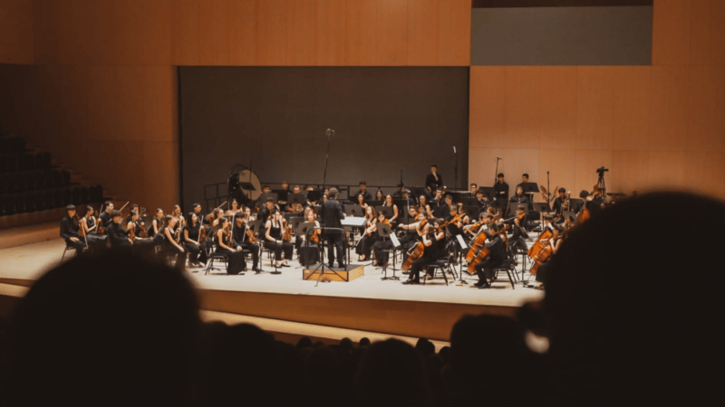 Apoyo a la Joven Orquesta Sinfónica de la FSMCV en el primer festival de talento emergente musical de España