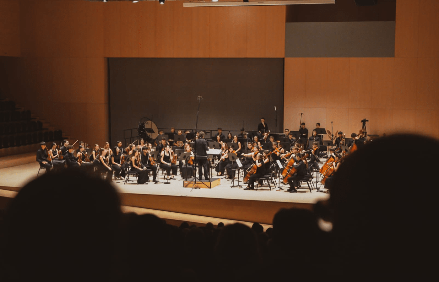 Apoyo a la Joven Orquesta Sinfónica de la FSMCV en el primer festival de talento emergente musical de España